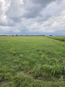 Property photo for land for sale in Bryan County Oklahoma