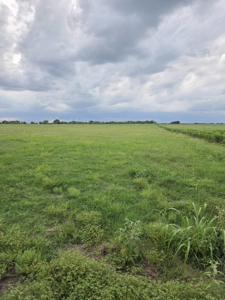 Property photo for land for sale in Bryan County Oklahoma