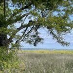 Property photo for land for sale in Carteret County North Carolina