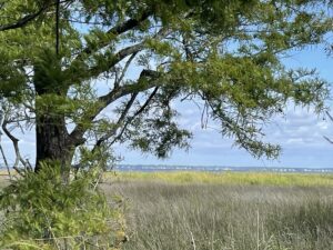 Property photo for land for sale in Carteret County North Carolina