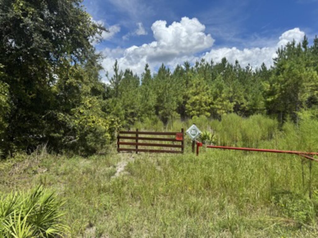 Property photo for land for sale in Suwannee County Florida