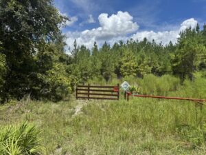 Property photo for land for sale in Suwannee County Florida