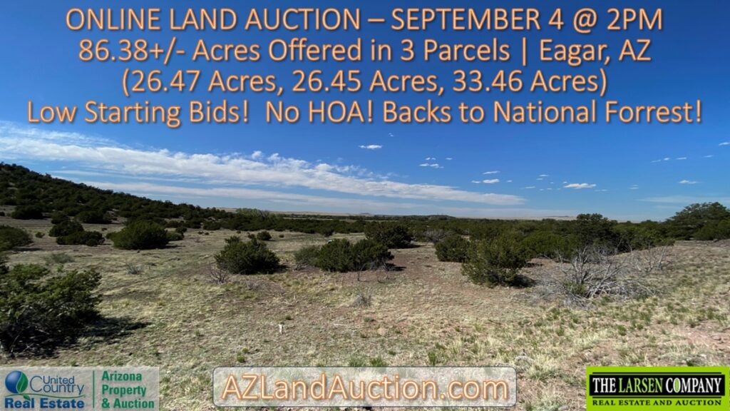 Property photo for land for sale in Apache County Arizona
