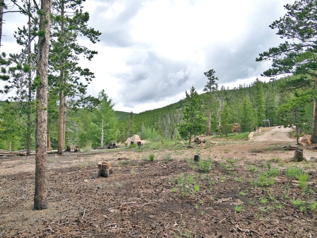 Property photo for land for sale in Larimer County Colorado