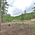 Property photo for land for sale in Larimer County Colorado