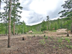 Property photo for land for sale in Larimer County Colorado