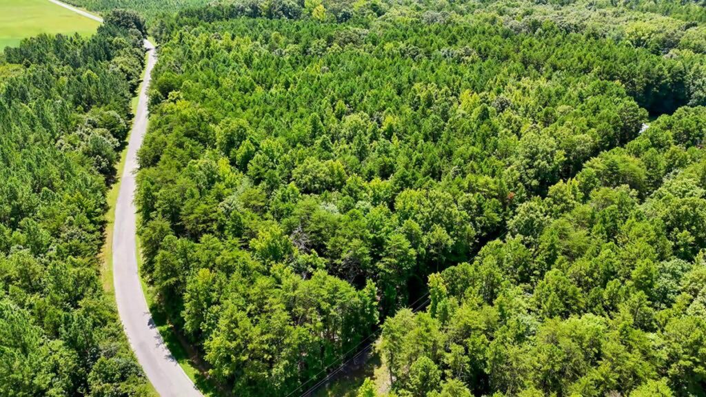 Property photo for land for sale in Mecklenburg County Virginia