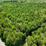 Property photo for land for sale in Mecklenburg County Virginia