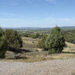 Property photo for land for sale in Rio Arriba County New Mexico