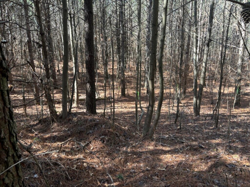 Property photo for land for sale in Sequatchie County Tennessee