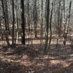 Property photo for land for sale in Sequatchie County Tennessee