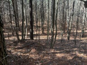 Property photo for land for sale in Sequatchie County Tennessee
