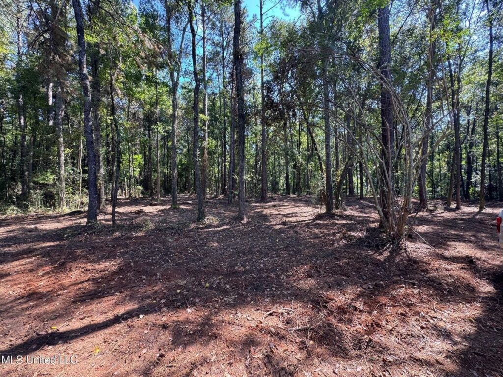 Property photo for land for sale in Pike County Mississippi