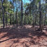Property photo for land for sale in Pike County Mississippi