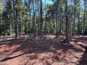 Property photo for land for sale in Pike County Mississippi