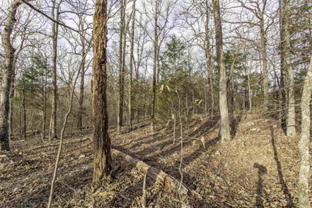 Property photo for land for sale in Sharp County Arkansas