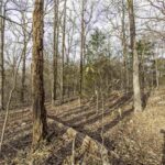 Property photo for land for sale in Sharp County Arkansas