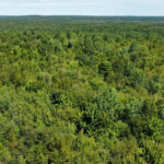 Property photo for land for sale in Penobscot County Maine