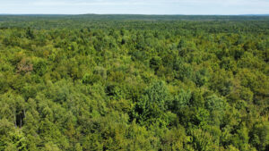 Property photo for land for sale in Penobscot County Maine