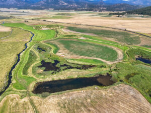 Property photo for land for sale in Stevens County Washington