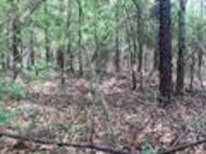 Property photo for land for sale in Covington County Alabama