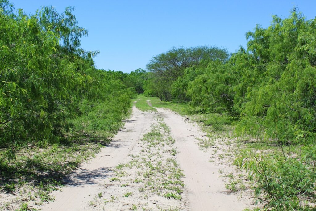 Property photo for land for sale in Kleberg County Texas