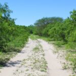 Property photo for land for sale in Kleberg County Texas