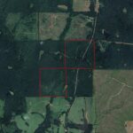 Property photo for land for sale in Marengo County Alabama