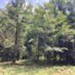 Property photo for land for sale in Covington County Alabama
