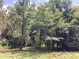 Property photo for land for sale in Covington County Alabama
