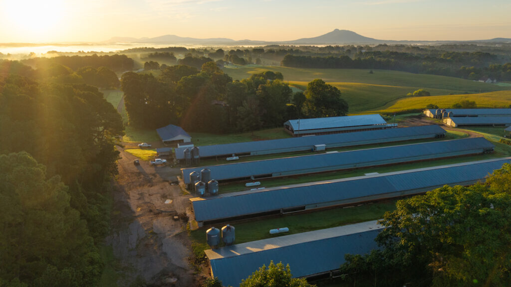 Property photo for land for sale in Surry County North Carolina