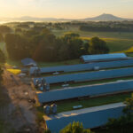 Property photo for land for sale in Surry County North Carolina