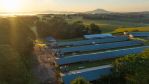 Property photo for land for sale in Surry County North Carolina