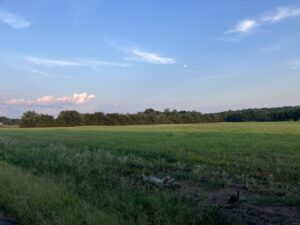 Property photo for land for sale in Le Flore County Oklahoma