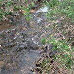 Property photo for land for sale in Patrick County Virginia