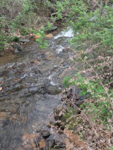 Property photo for land for sale in Patrick County Virginia