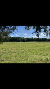 Property photo for land for sale in Le Flore County Oklahoma