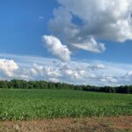 Property photo for land for sale in Madison County Tennessee