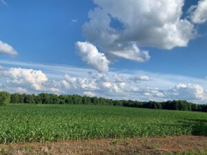 Property photo for land for sale in Madison County Tennessee
