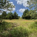 Property photo for land for sale in Pike County Alabama