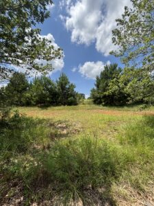 Property photo for land for sale in Pike County Alabama