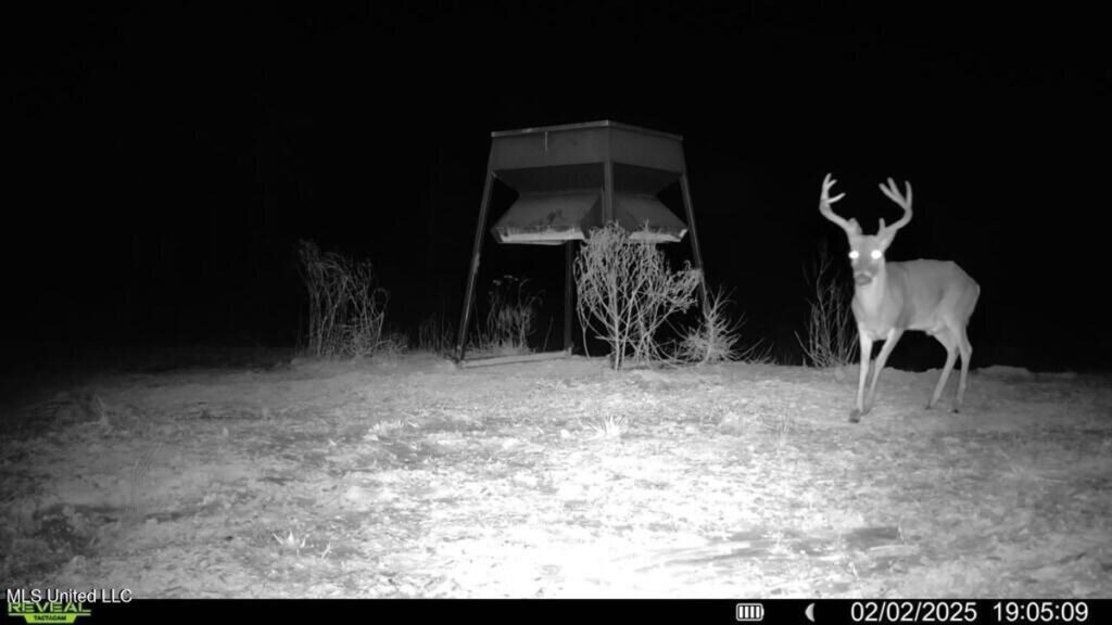 Property photo for land for sale in Catahoula County Louisiana