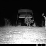 Property photo for land for sale in Catahoula County Louisiana