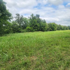 Property photo for land for sale in Simpson County Kentucky