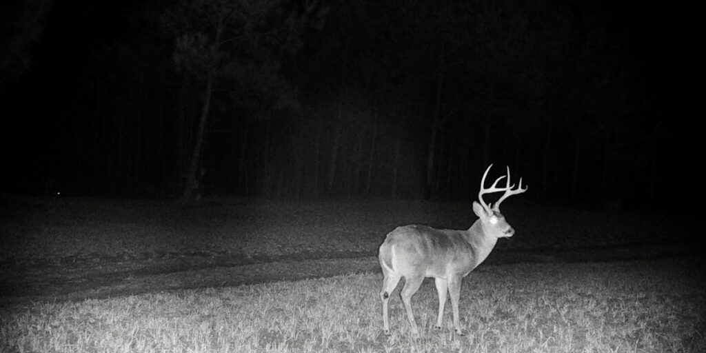 Property photo for land for sale in Prentiss County Mississippi