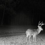 Property photo for land for sale in Prentiss County Mississippi