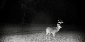 Property photo for land for sale in Prentiss County Mississippi