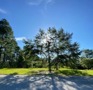 Property photo for land for sale in Emanuel County Georgia