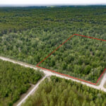 Property photo for land for sale in Gilchrist County Florida