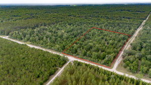 Property photo for land for sale in Gilchrist County Florida